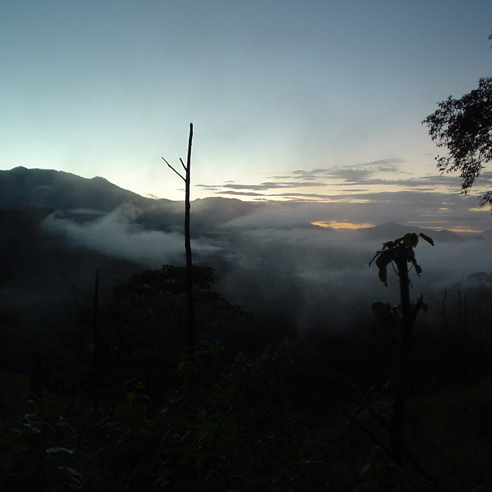 Costa Rica Cangrejal - Scenery